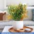 ECOOPTS 1pc Artificial Bushes Plastic Plants Leaves Stems Artificial Fake Flowers for Home Office Wedding Decoration Christmas Decor (Green Orange)