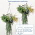 ECOOPTS 1 PC Artificial Hanging Plants with Gold Frame Faux Plants with S-Shaped Hooks for Indoor Outdoor Garden Home Bathroom Living Room Wall Decor (Green Blue)