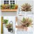 ECOOPTS 1pc Artificial Bushes Plastic Plants Leaves Stems Artificial Fake Flowers for Home Office Wedding Decoration Christmas Decor (Green Red)